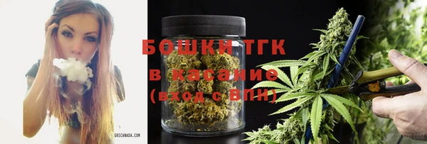гашик Надым
