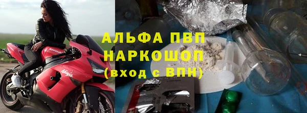 гашик Надым
