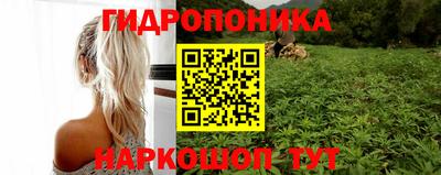 ешки Волгодонск