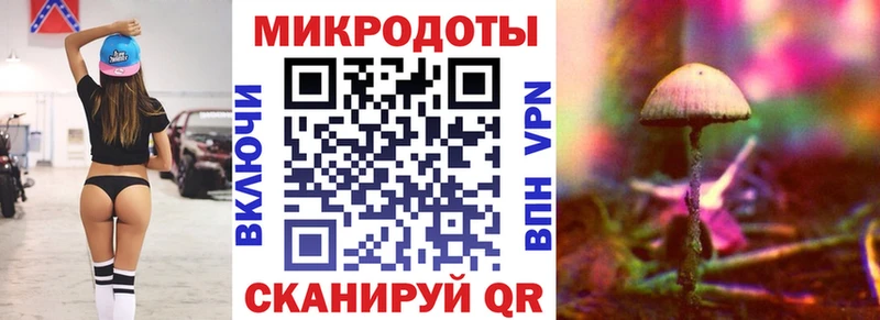 наркотики  Губкинский  Псилоцибиновые грибы Psilocybine cubensis 