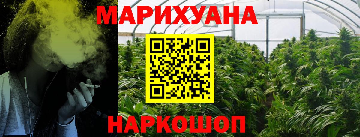Бошки Шишки индика Губкинский