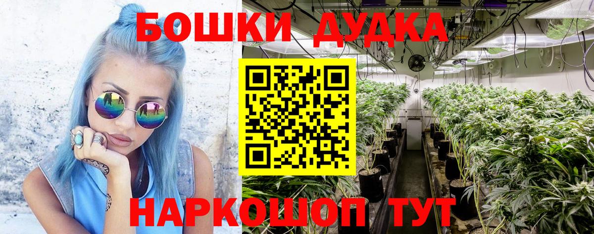 Бошки Шишки гибрид  Губкинский  Бошки марихуана планчик  Конопля планчик 